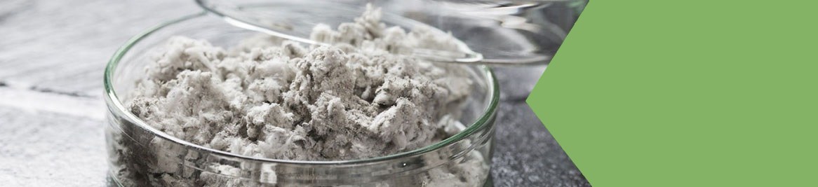 Asbestos Surveys