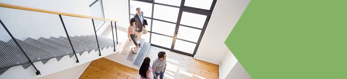 RICS Home Buyers Report
