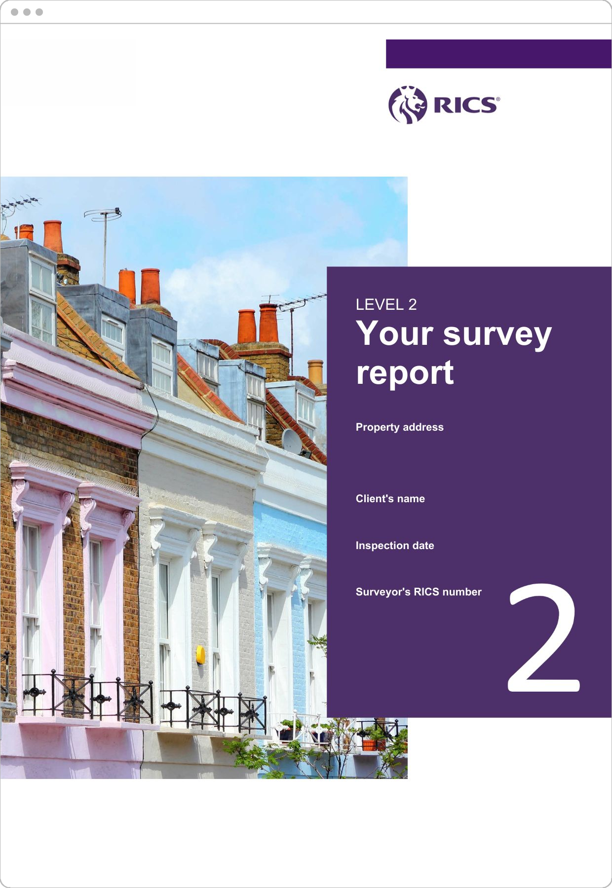 What do i get with a RICS Home Buyers Report